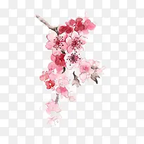 水彩花朵
