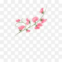 藤蔓和花