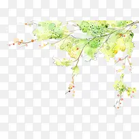 藤蔓