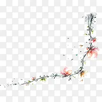 手绘藤蔓花卉夏天