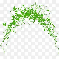 春天绿色藤蔓植物树枝