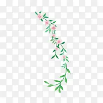 花藤