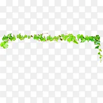 合成效果绿色的藤蔓植物
