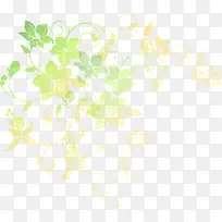 清新藤蔓枝条