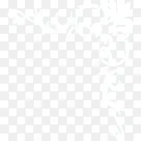 白色花纹藤蔓手绘婚礼