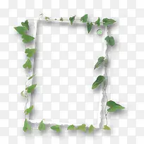 植物清新夏日边框