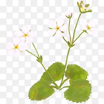 合成创意绿色的藤蔓手绘