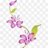 春天紫色花朵藤蔓