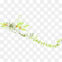 手绘清新植物藤蔓