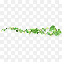 春天绿叶藤蔓植物清新装饰