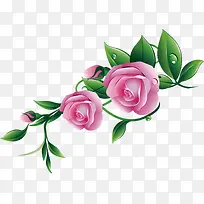 手绘藤蔓植物粉色小花