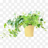 春天藤蔓植物摆件
