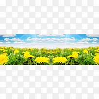 花朵淘宝海报背景