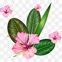粉色小花