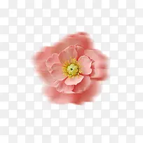 精美唯美粉色花护肤