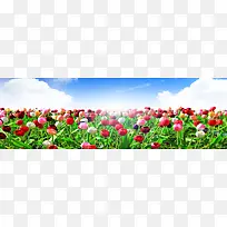 简约花朵淘宝海报背景