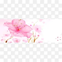 粉红花朵背景