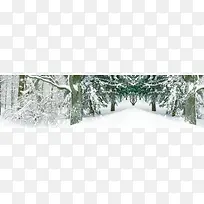 轮播背景海报banner