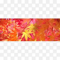 淘宝全屏海报banner背景