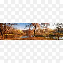 金秋背景