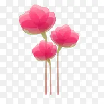 唯美花卉