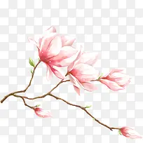 粉色唯美水彩桃花
