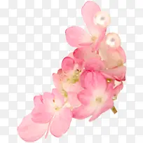 粉色唯美桃花