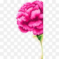 粉色水彩花朵设计唯美