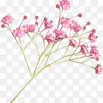 粉色手绘一枝小花装饰图案