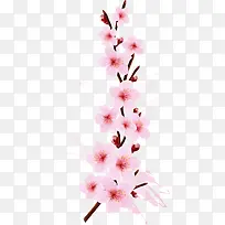 矢量手绘花卉素材