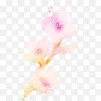 手绘粉色唯美桃花