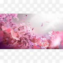 粉色花朵飘落唯美