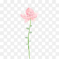 可爱唯美手绘花朵粉色