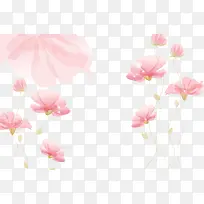 粉色盛开唯美花朵