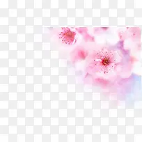 唯美意境粉色花朵