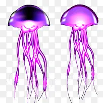 水母