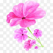 粉色花朵创意设计唯美