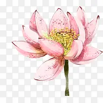粉色花朵唯美设计