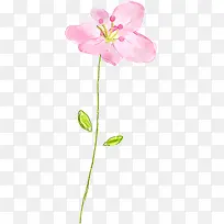 唯美粉色清新淡雅花朵