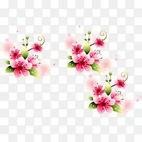 粉色淡雅唯美花朵装饰母亲节节日