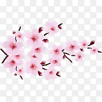 矢量手绘花卉素材