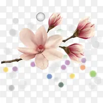 粉色唯美花枝