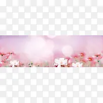 淘宝女装唯美粉色背景banner