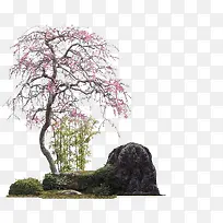 粉色唯美公园大树