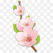 粉色唯美创意花朵桃花