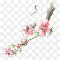 唯美淡雅粉色桃花树枝