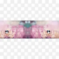 粉色唯美水珠背景banner
