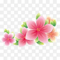 手绘唯美粉色花朵绿叶