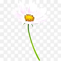 粉色花朵唯美春天