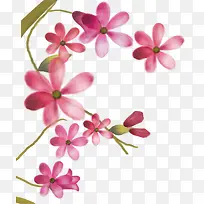 粉色唯美花朵美景手绘